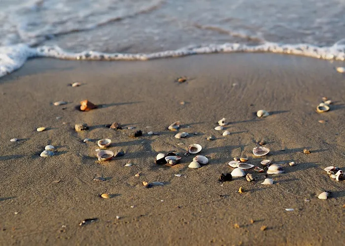 Sea Oasis - With Terrace And Enchanting View * 比比翁